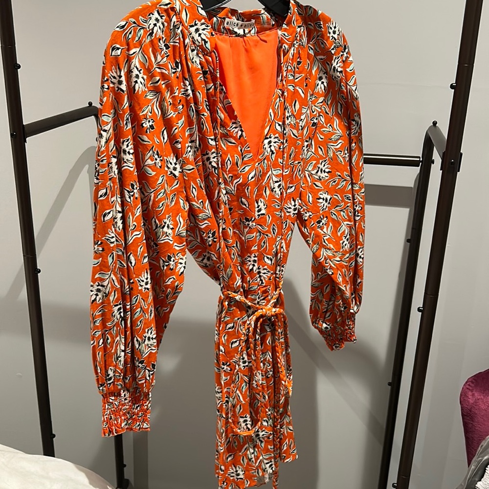 Alice and Olivia dress